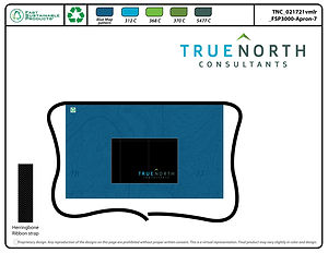 TNC_021721vmlr_FSP3000-Apron-7.jpg